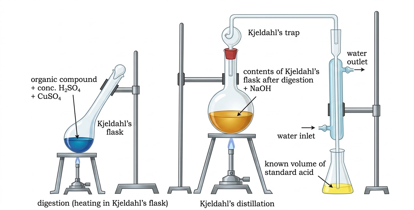Kjeldahl's Method